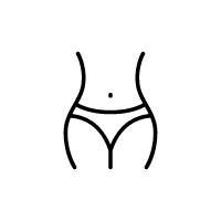 morpho.webp